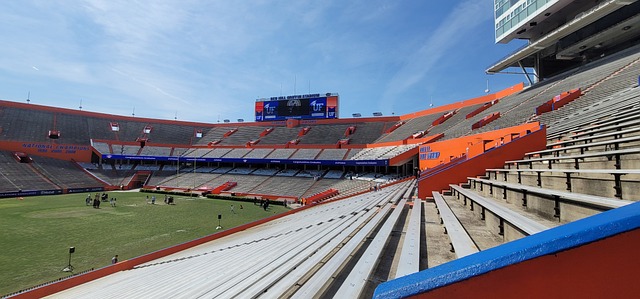 承担责任 承担责任