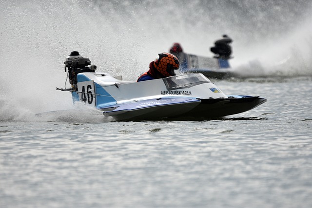 播的规律 播的规律