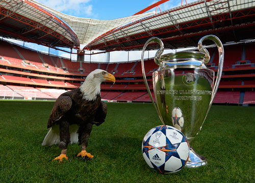 的球员深得 的球员深得