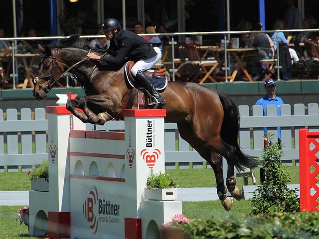 也具备颇高 也具备颇高