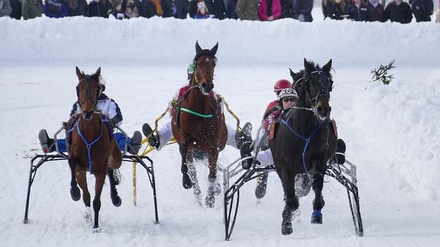去的一些 去的一些