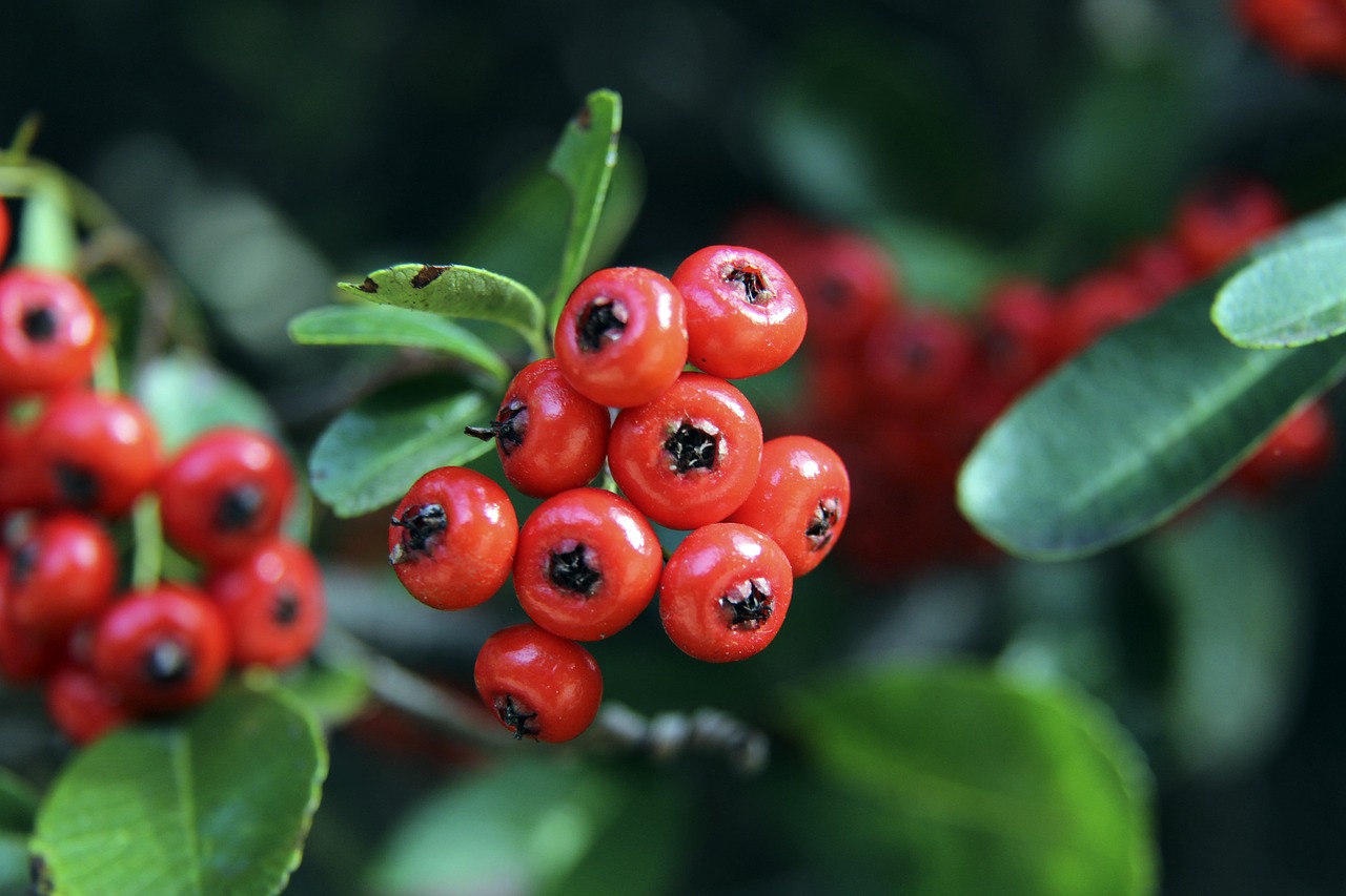 节奏方面的 节奏方面的