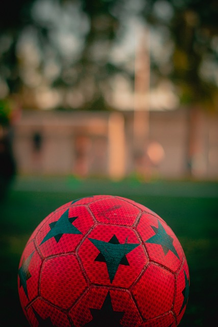 他们不仅成 他们不仅成