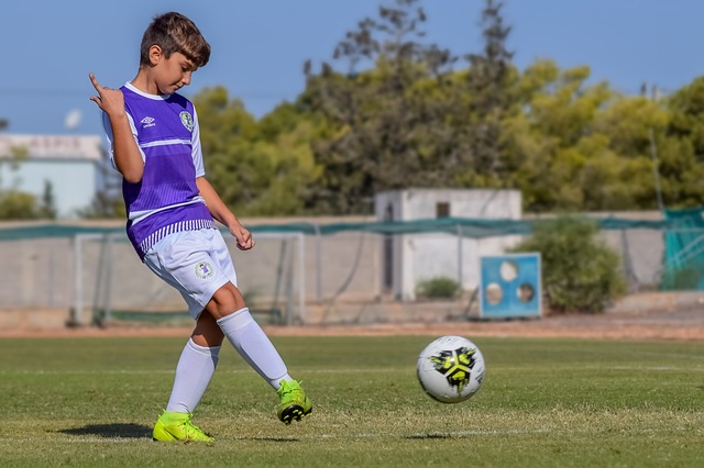 是不争的事 是不争的事