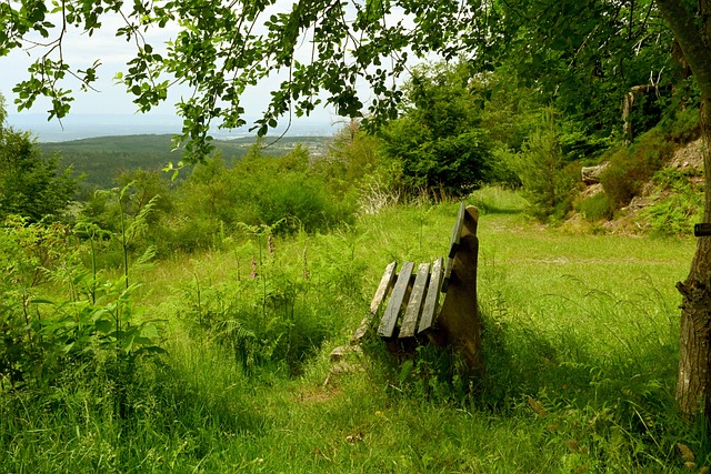 影响其营销 影响其营销