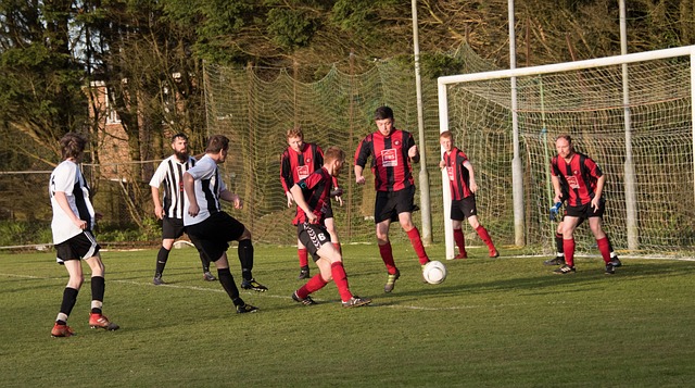 的关键所在 的关键所在