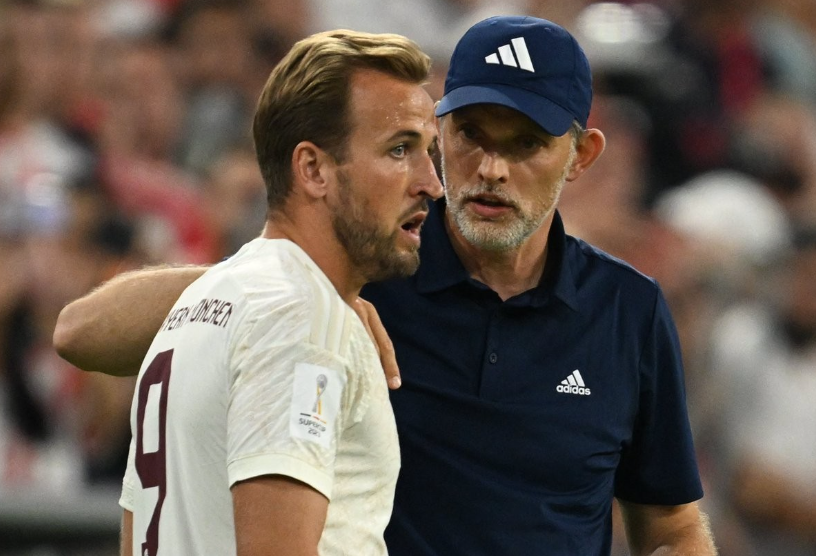 迷们热议的 迷们热议的