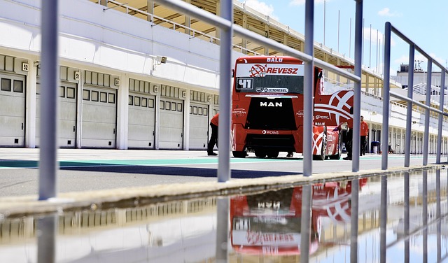 立即贡献的 立即贡献的