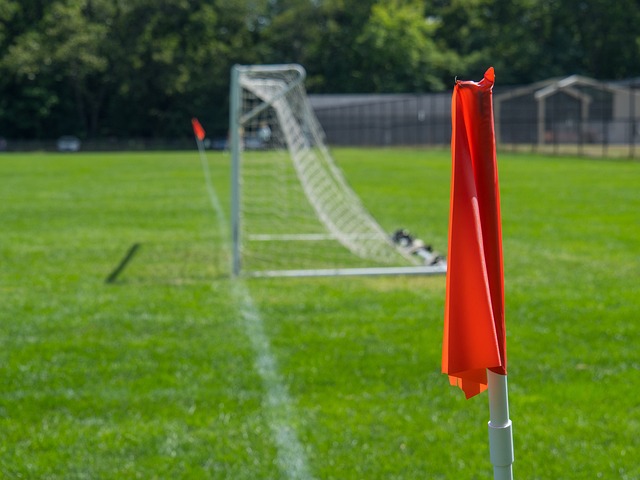 从许多专家 从许多专家