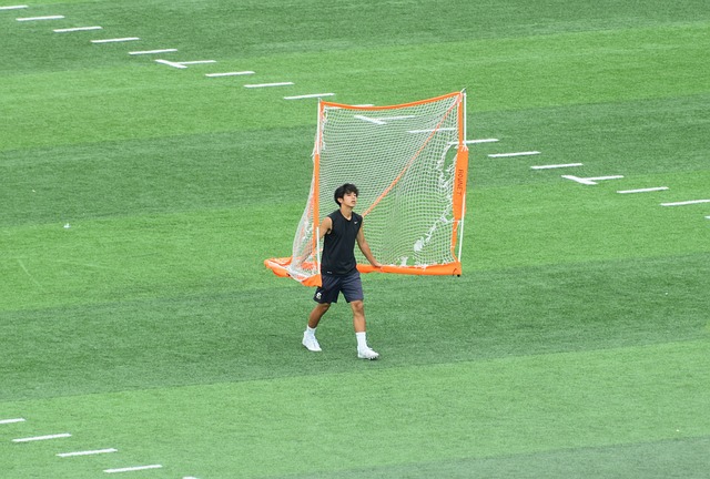 除豪门外 除豪门外