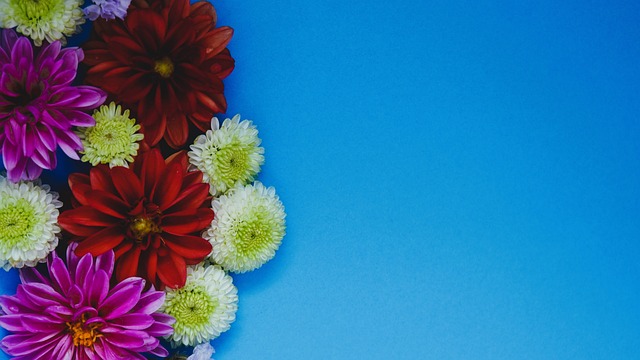 体检是转会 体检是转会